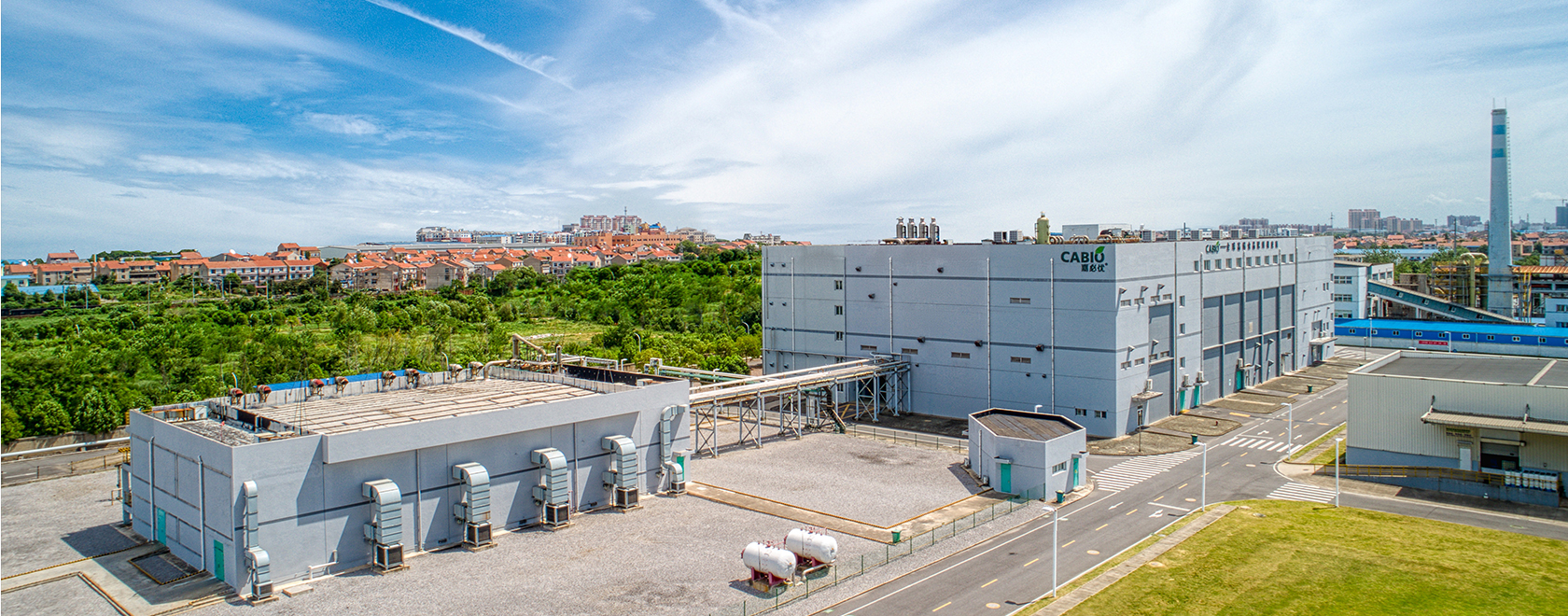 Company Profile