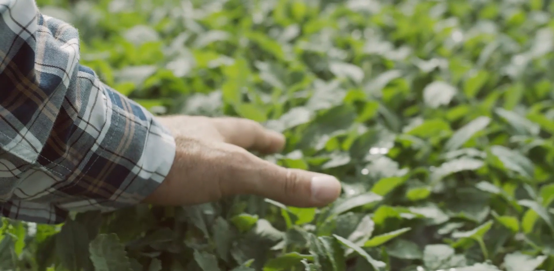 Biotechnology Nourishes Life.