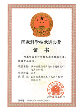 National Science and Technology Progress Award
