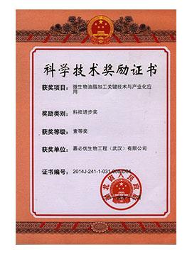 Technology Progress Award