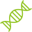 Gene Editing