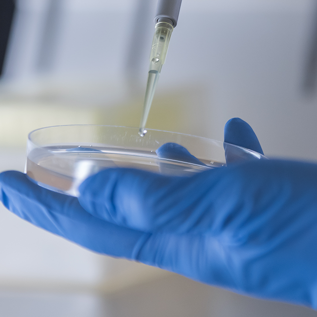 Synthetic Biology