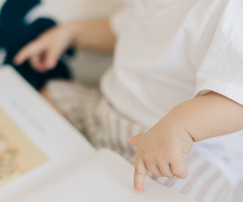 Early Life Nutrition